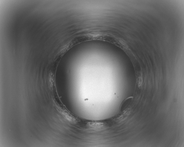 X0000062800476200601051116