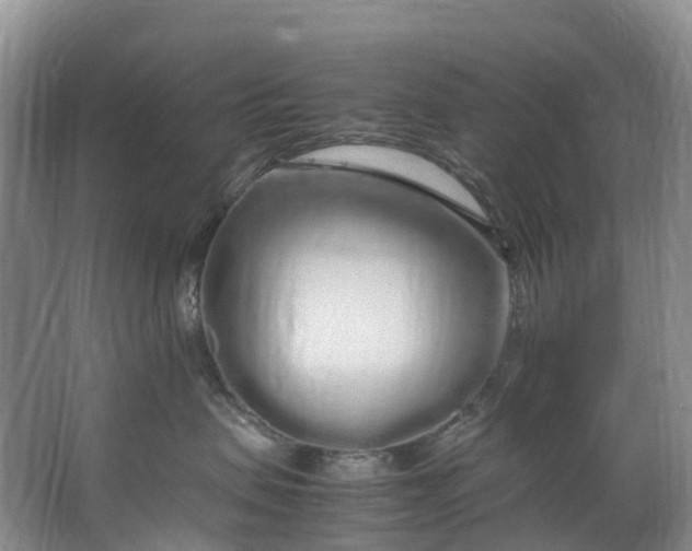 X0000062800479200601051116