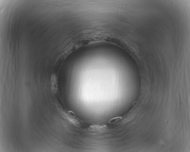 X0000062800480200601051116