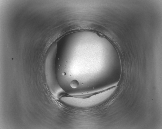 X0000062800481200601051116