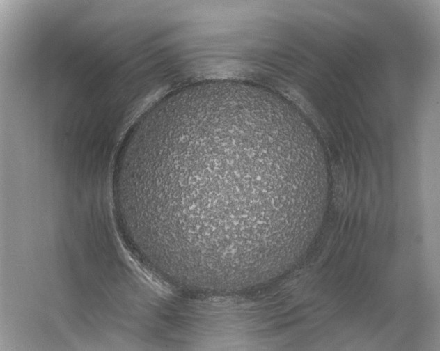 X0000062800482200601051116