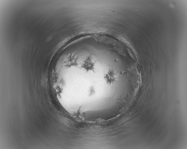 X0000062800483200601051116