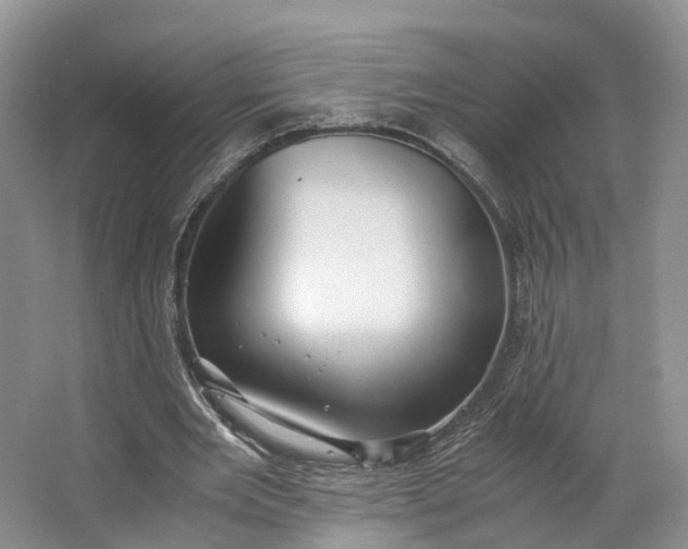 X0000062800485200601051115