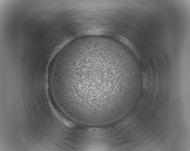 X0000062800486200601051115