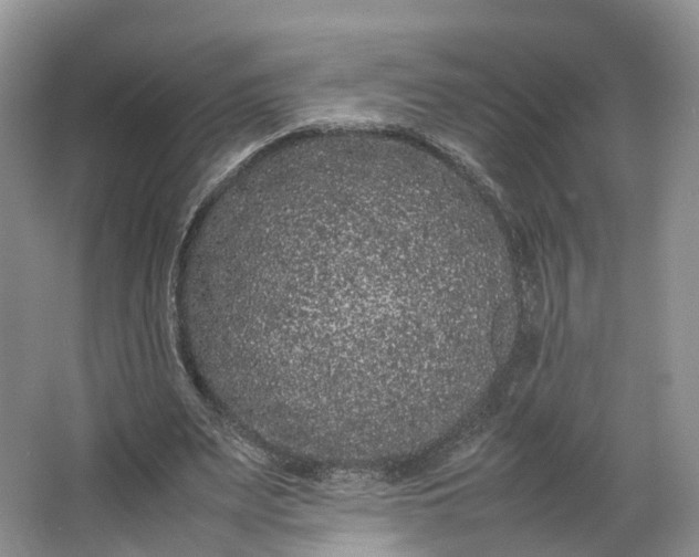 X0000062800487200601051115