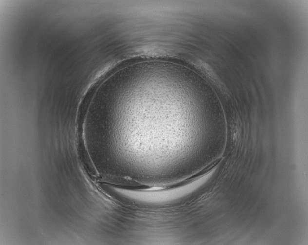 X0000062800488200601051115