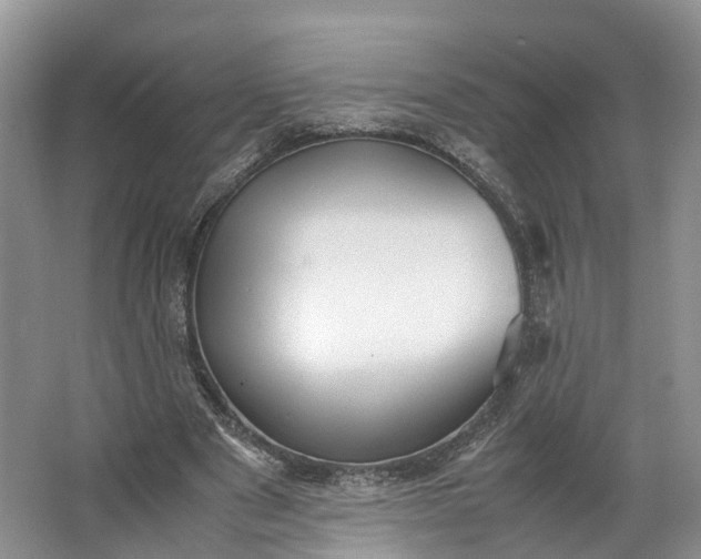 X0000062800489200601051115