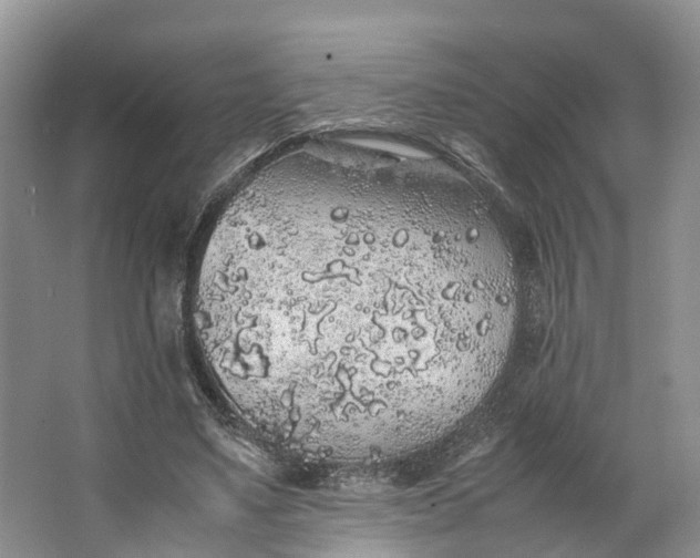 X0000062800491200601051115