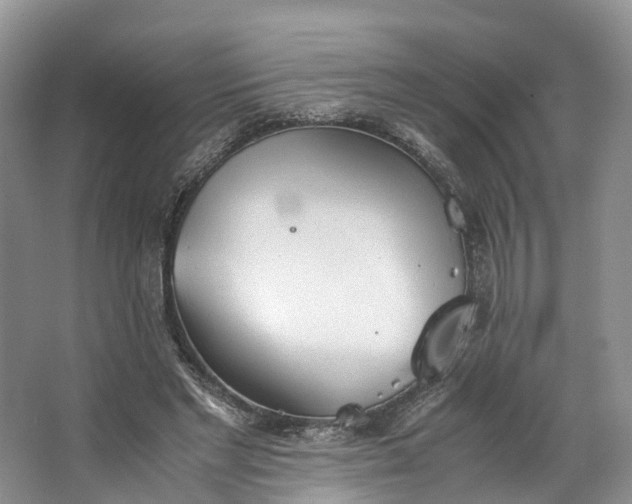 X0000062800493200601051115