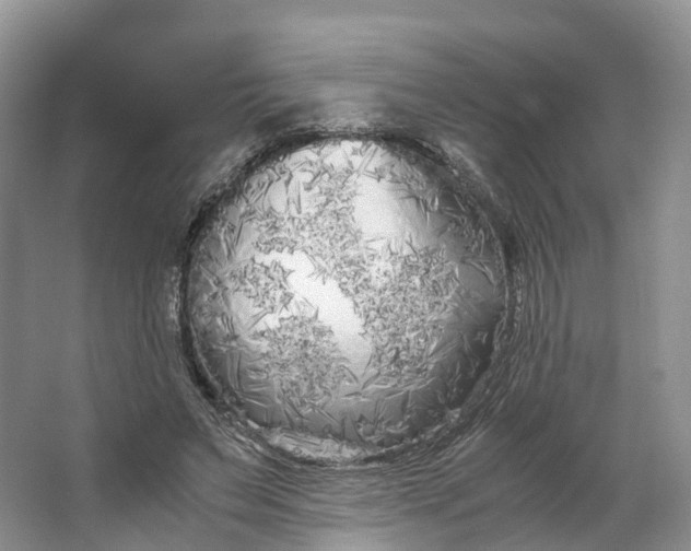 X0000062800495200601051115