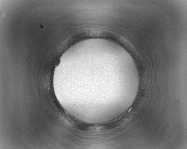 X0000062800497200601051115