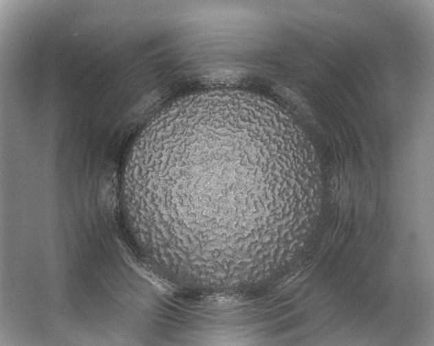 X0000062800498200601051115