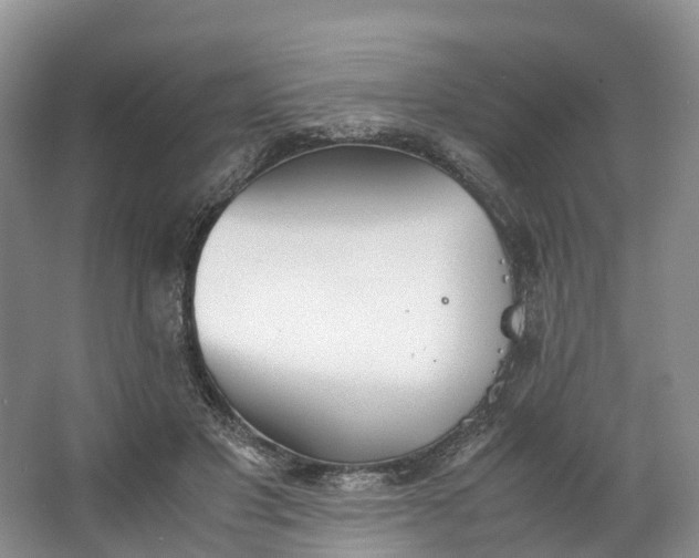 X0000062800501200601051115