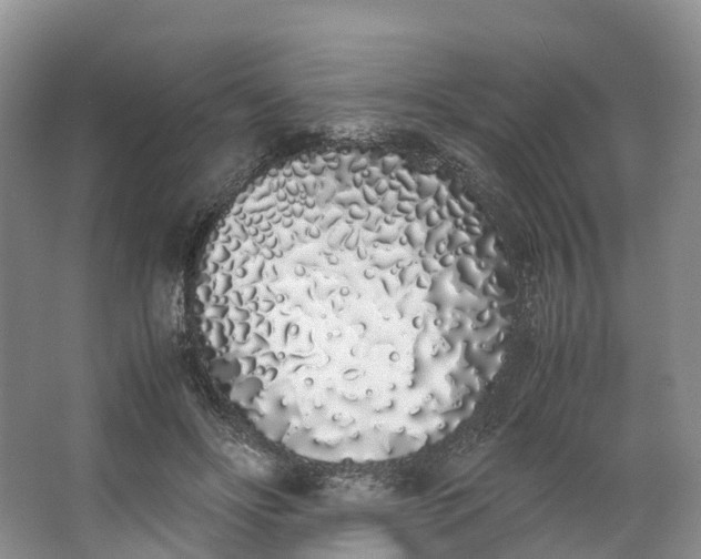 X0000062800502200601051115