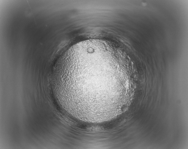 X0000062800503200601051115