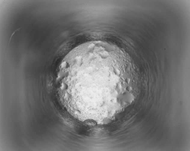 X0000062800507200601051115