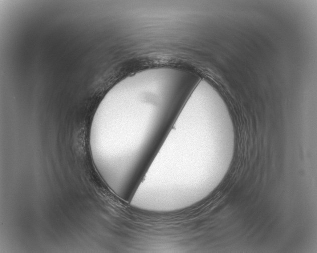 X0000062800509200601051115