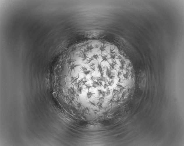 X0000062800510200601051115