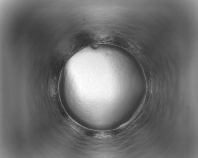 X0000062800515200601051115