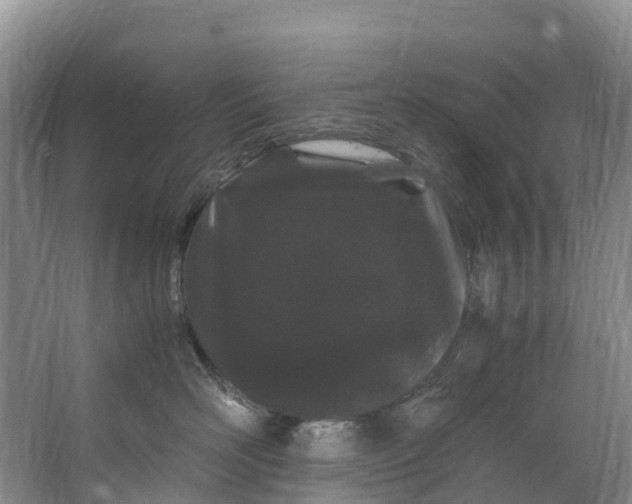 X0000062800526200601051115