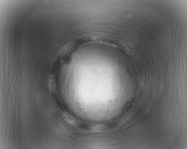 X0000062800527200601051115