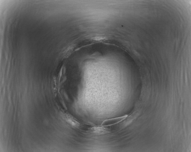 X0000062800528200601051115