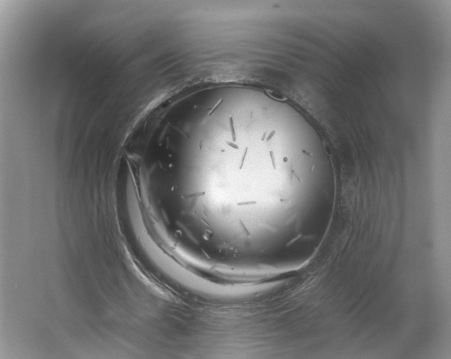 X0000062800530200601051114