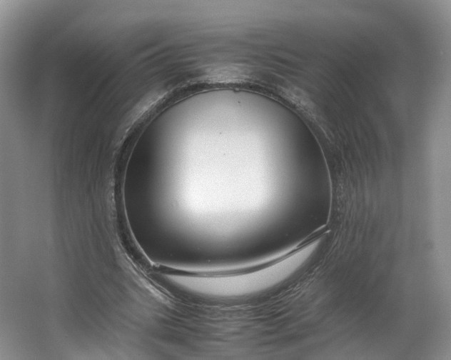 X0000062800535200601051114