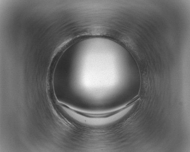 X0000062800536200601051114