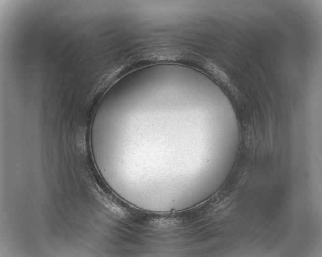 X0000062800537200601051114