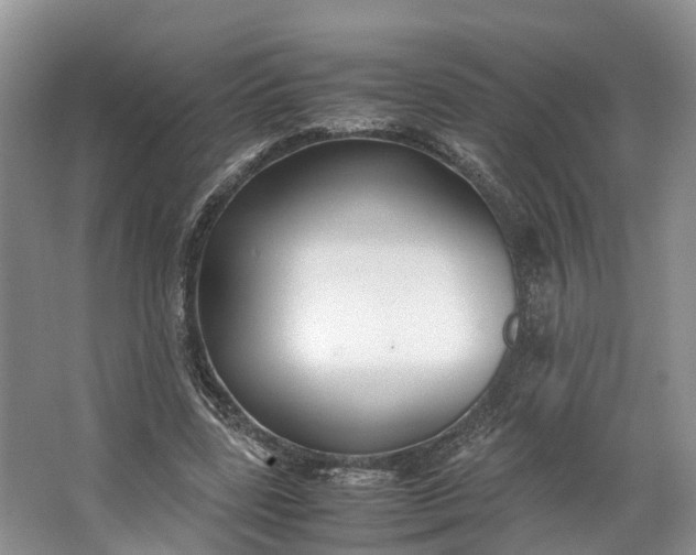 X0000062800539200601051114