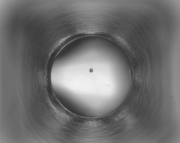 X0000062800540200601051114