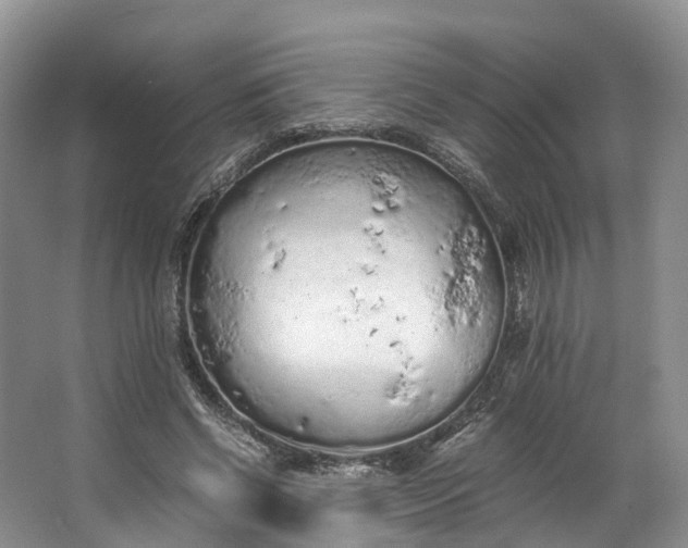 X0000062800542200601051114