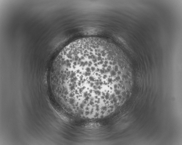 X0000062800543200601051114