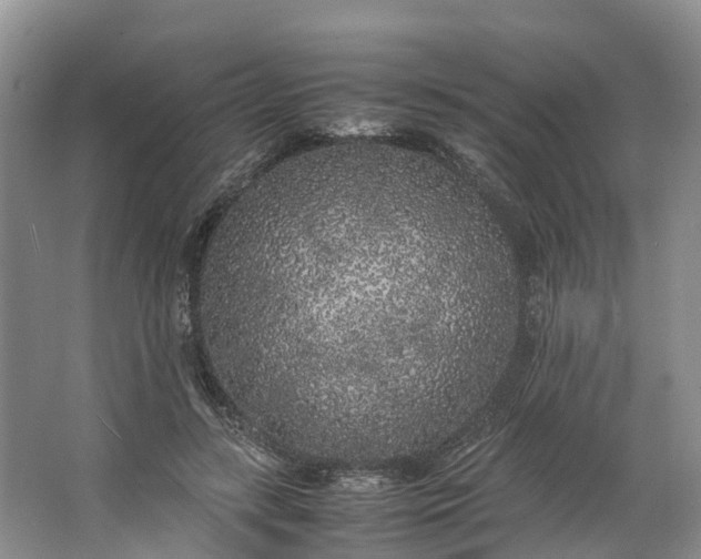 X0000062800547200601051114