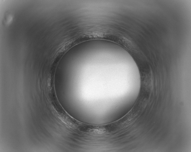 X0000062800548200601051114