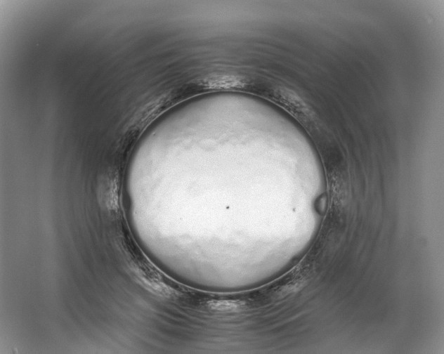 X0000062800549200601051114