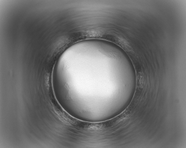 X0000062800550200601051114