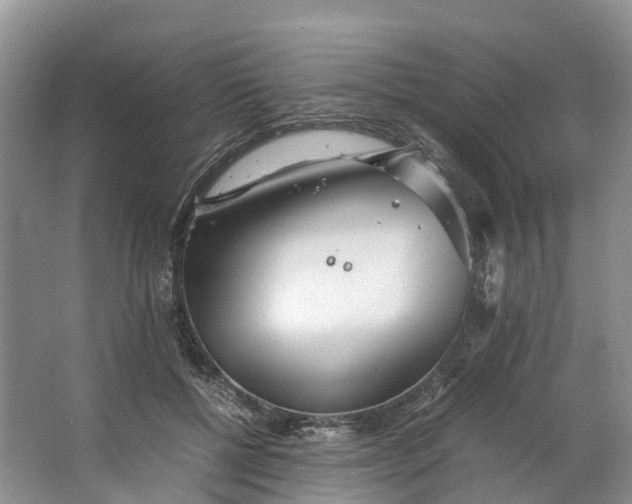 X0000062800552200601051114