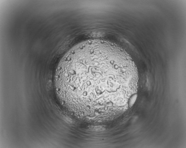 X0000062800553200601051114