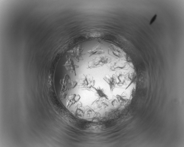 X0000062800555200601051114