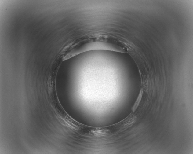 X0000062800558200601051114