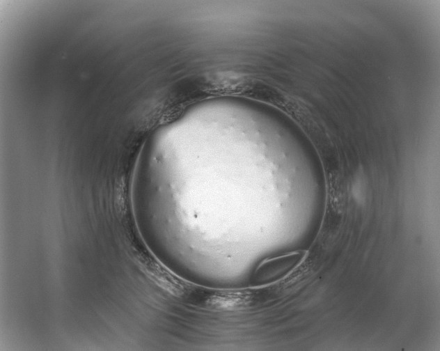 X0000062800563200601051114