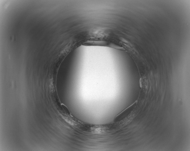 X0000062800564200601051115