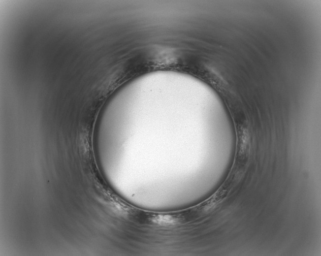 X0000062800565200601051115