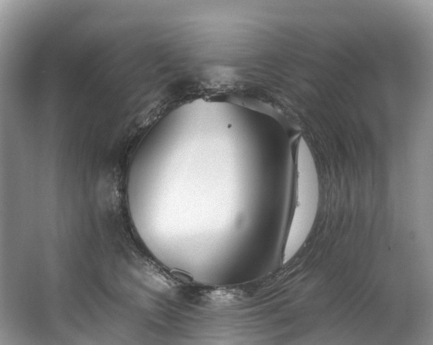 X0000062800566200601051115