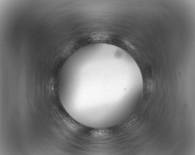 X0000062800567200601051115