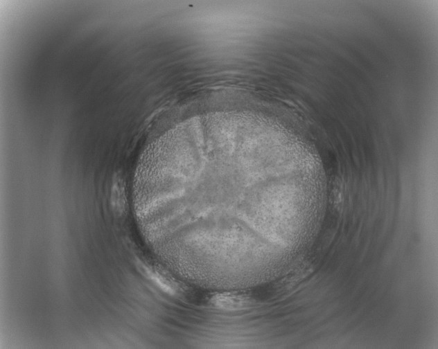 X0000062800568200601051115