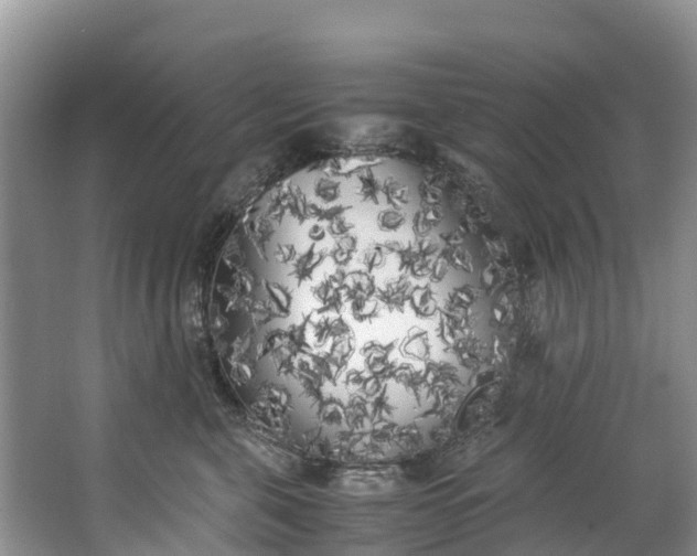 X0000062800571200601051115