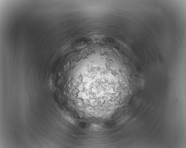 X0000062800573200601051115